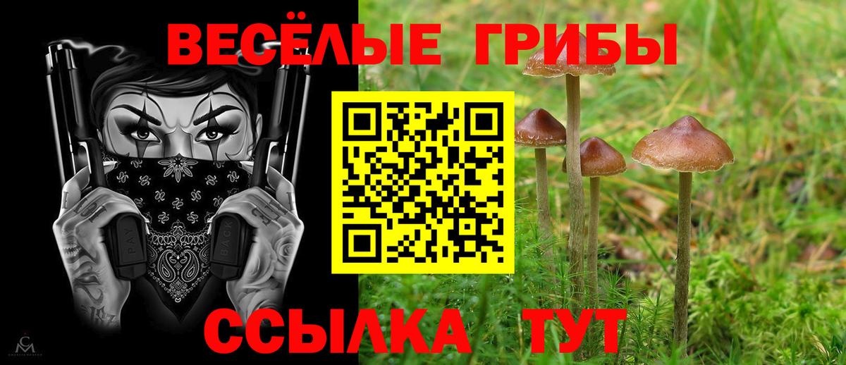 Псилоцибиновые грибы мухоморы  Галлюциногенные грибы прущие грибы  Белая Калитва  Вход с VPN 